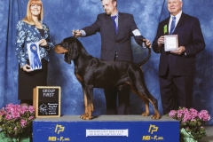 3-hound-4-25-2015