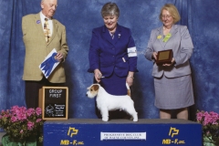5-terrier-4-25-2015