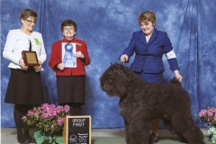 8-herding-4-25-2015