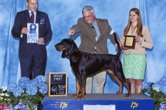 3-hound-04.26.20140001