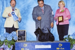 5-terrier--04.26.2014