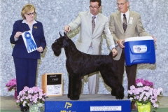 4-working-04.28.2013