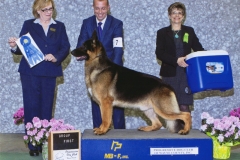8-herding-04.28.2013