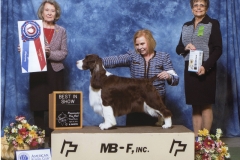 Best in Show
