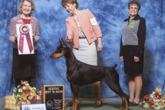 Reserve Best in Show