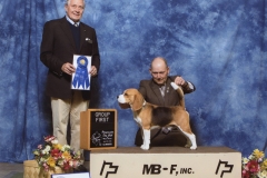 Hound Group 1