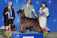 3-hound04302011