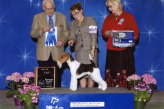 5-terrier04302011