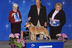 8-herding04302011