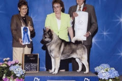 3-Hound05012010