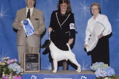 5-Terrier05012010