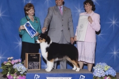 8-herding05012010