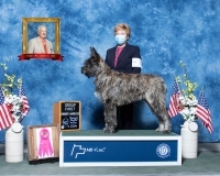 t NOH-Herding-5.1.2021