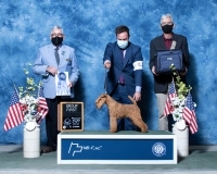 f-Terrier-5.1.2021