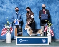 i-Herding-5.1.2021