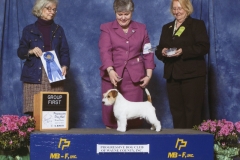5-terrier-4-26-2015