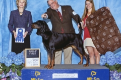 3-hound-04.27.2014