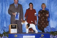 5-terrier-04.27.2014