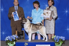 3-hound-04.28.2012