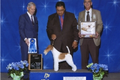 5-terrier-04.28.2012