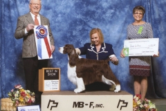 Best in Show
