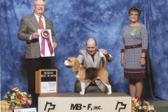 Reserve Best in Show
