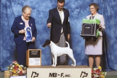 Terrier Group 1