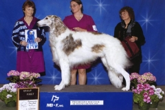 3-hound05012011