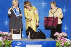 5-terrier05012011