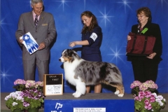 8-herding05012011
