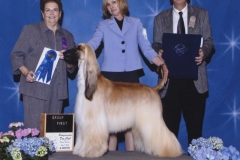 3-hound05022010