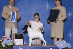 5-terrier05022010