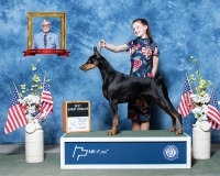 j-BestJunior-5.2.2021