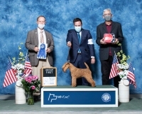 f-Terrier-5.2.2021