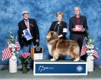 i-Herding-5.2.2021